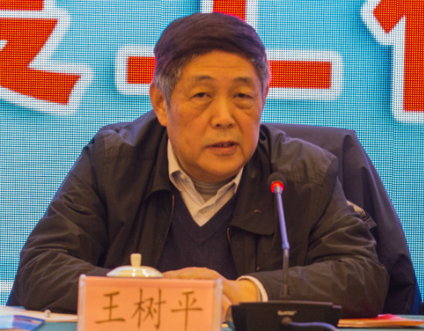 （中国勘察设计协会副理事长  王树平）