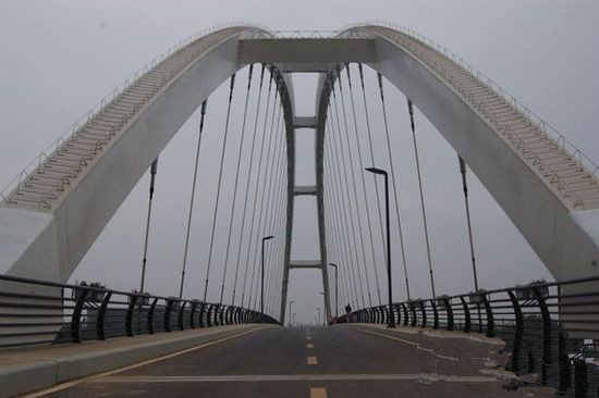 长沙巴溪洲景观大桥今日通车