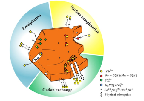 图2 污泥灰对重金属铅的吸附机理